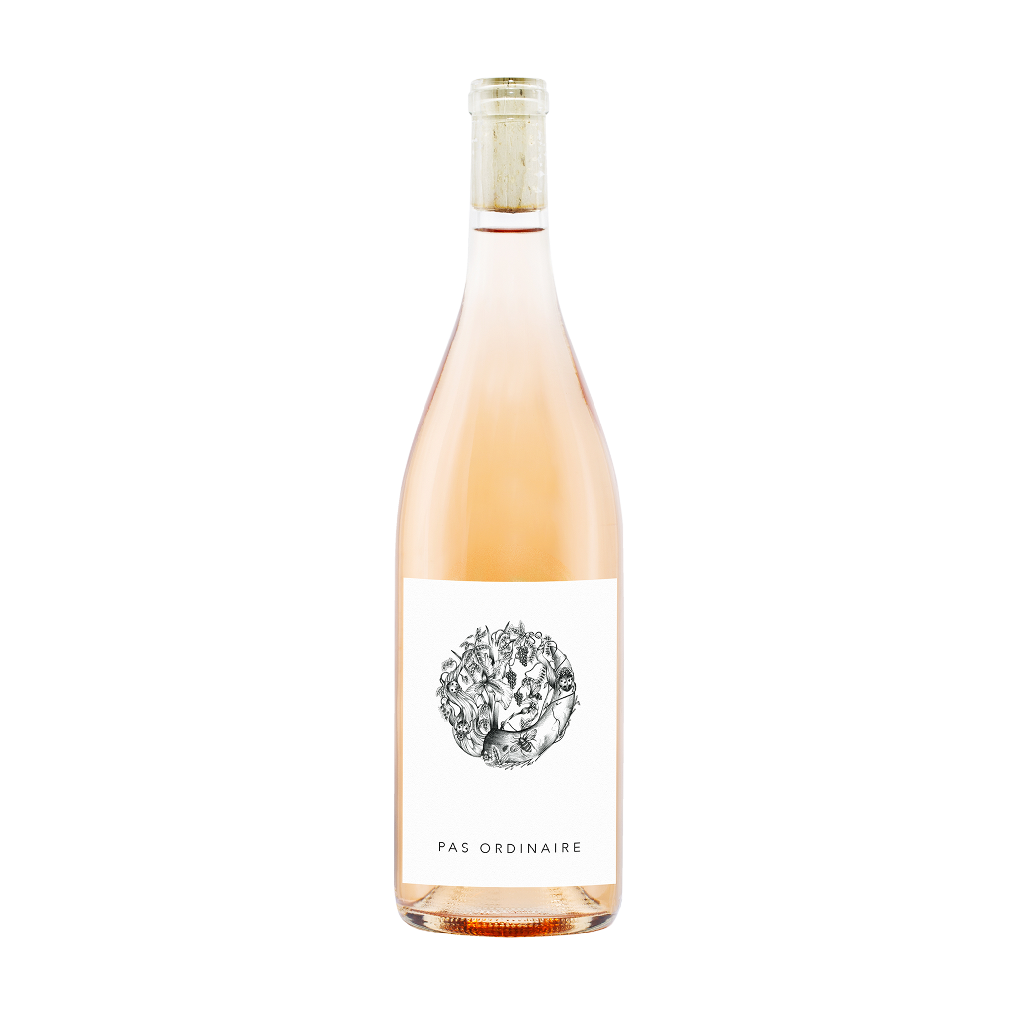 2021 Pas Ordinaire Rosé Wine
